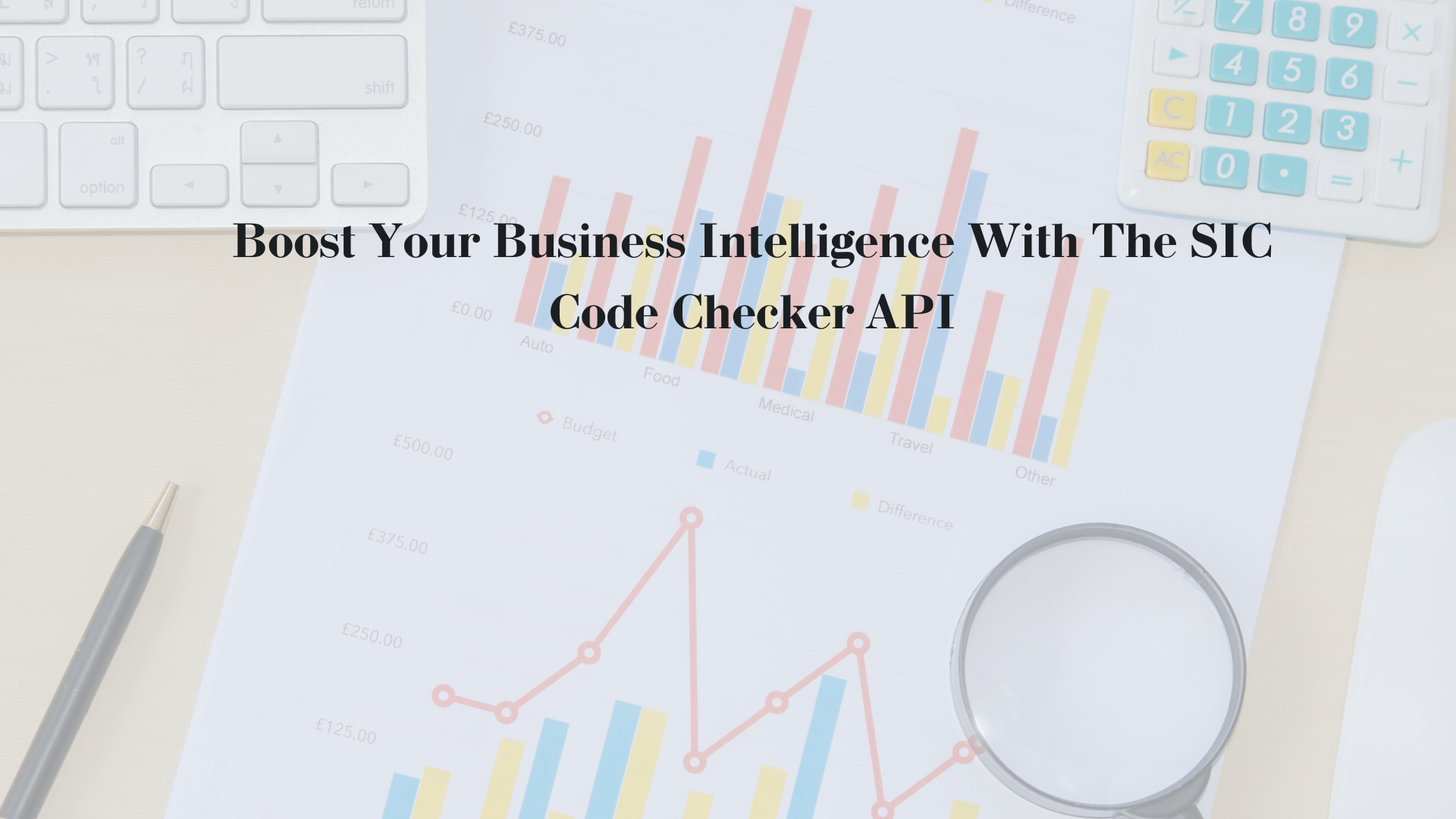 Boost Your Business Intelligence With The SIC Code Checker API