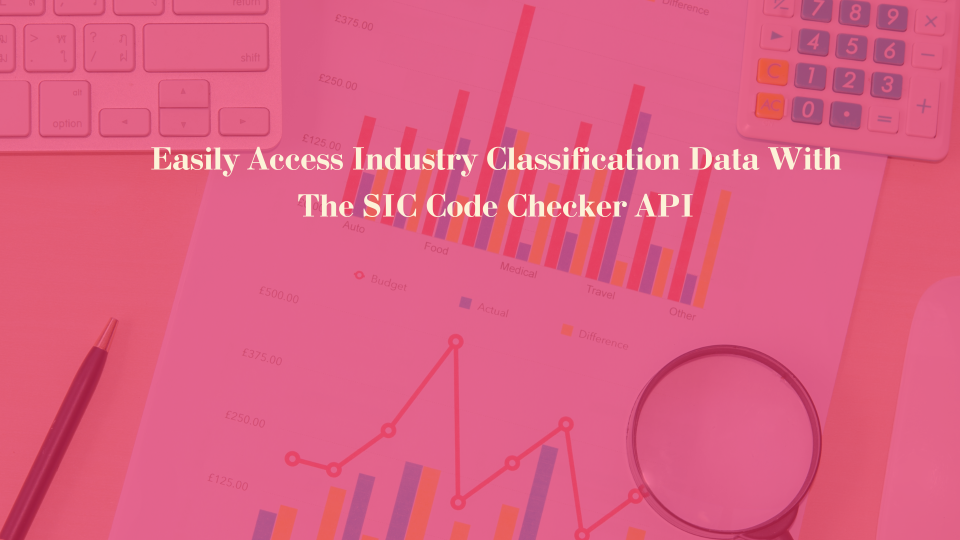 Easily Access Industry Classification Data With The SIC Code Checker API