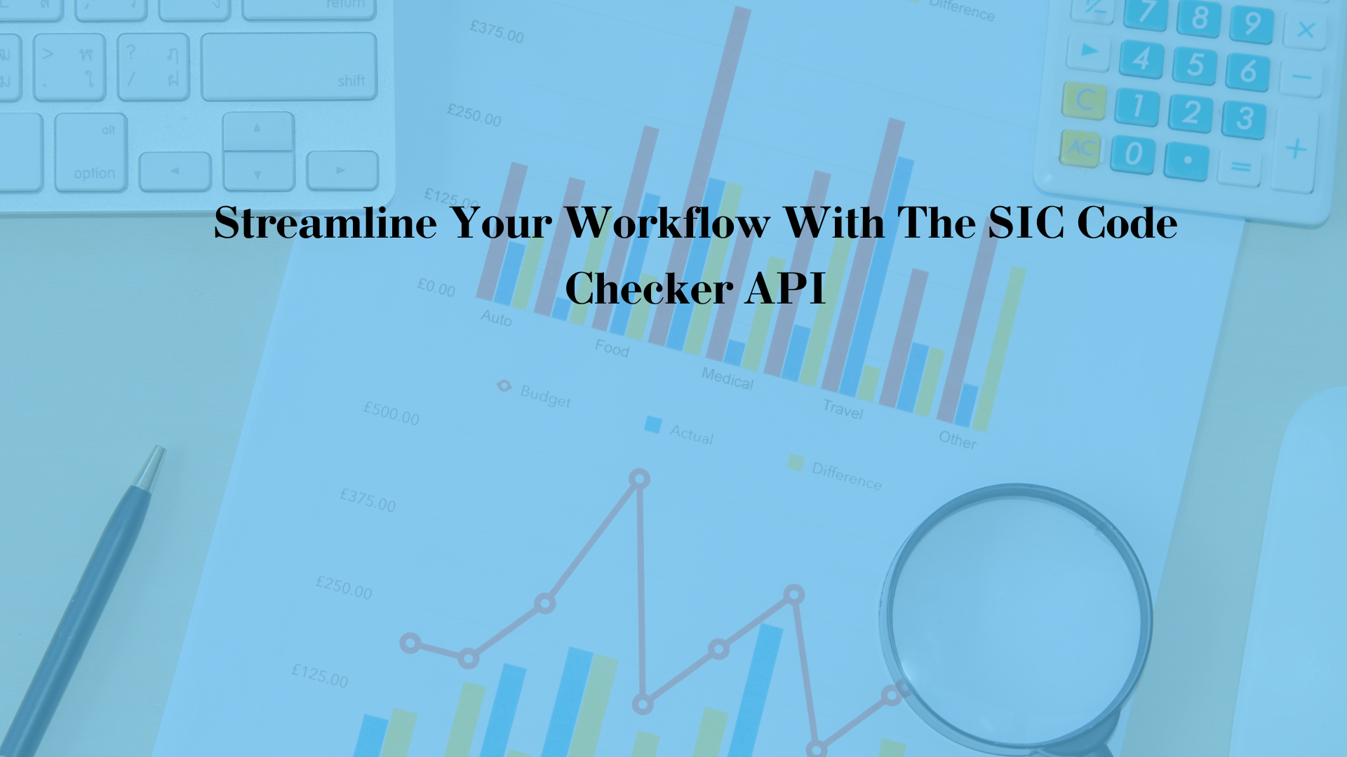 Streamline Your Workflow With The SIC Code Checker API