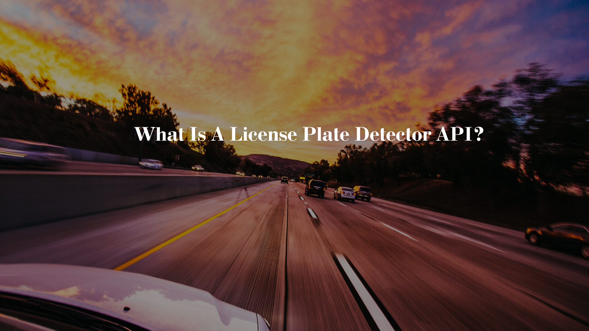 What Is A License Plate Detector API?