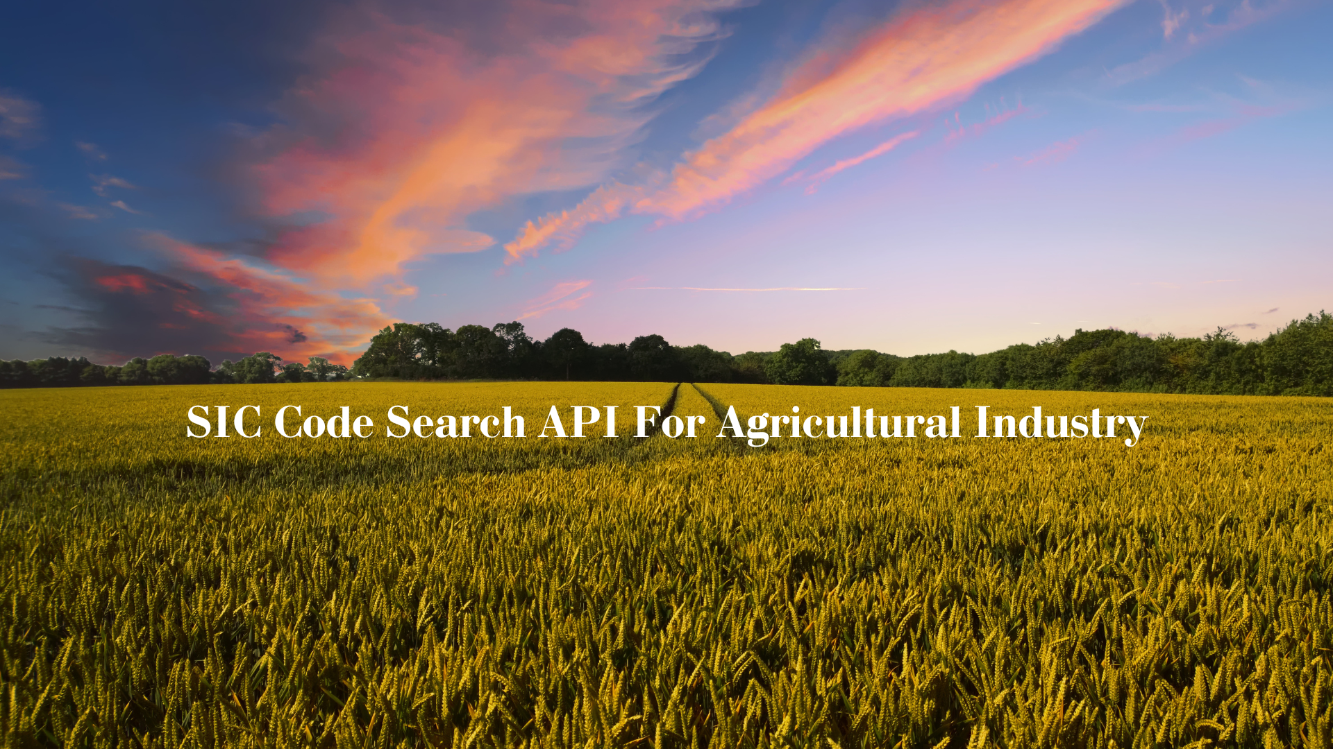 SIC Code Search API For Agricultural Industry