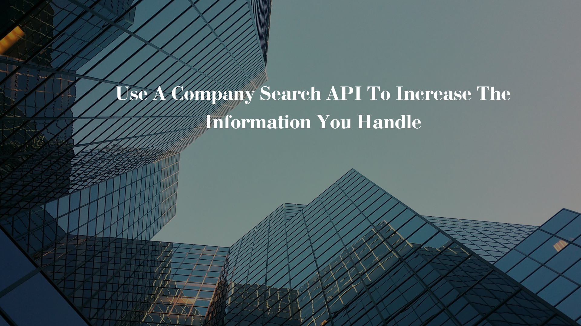 Use A Company Search API To Increase The Information You Handle