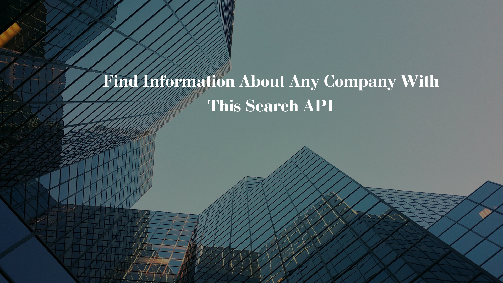 Find Information About Any Company With This Search API