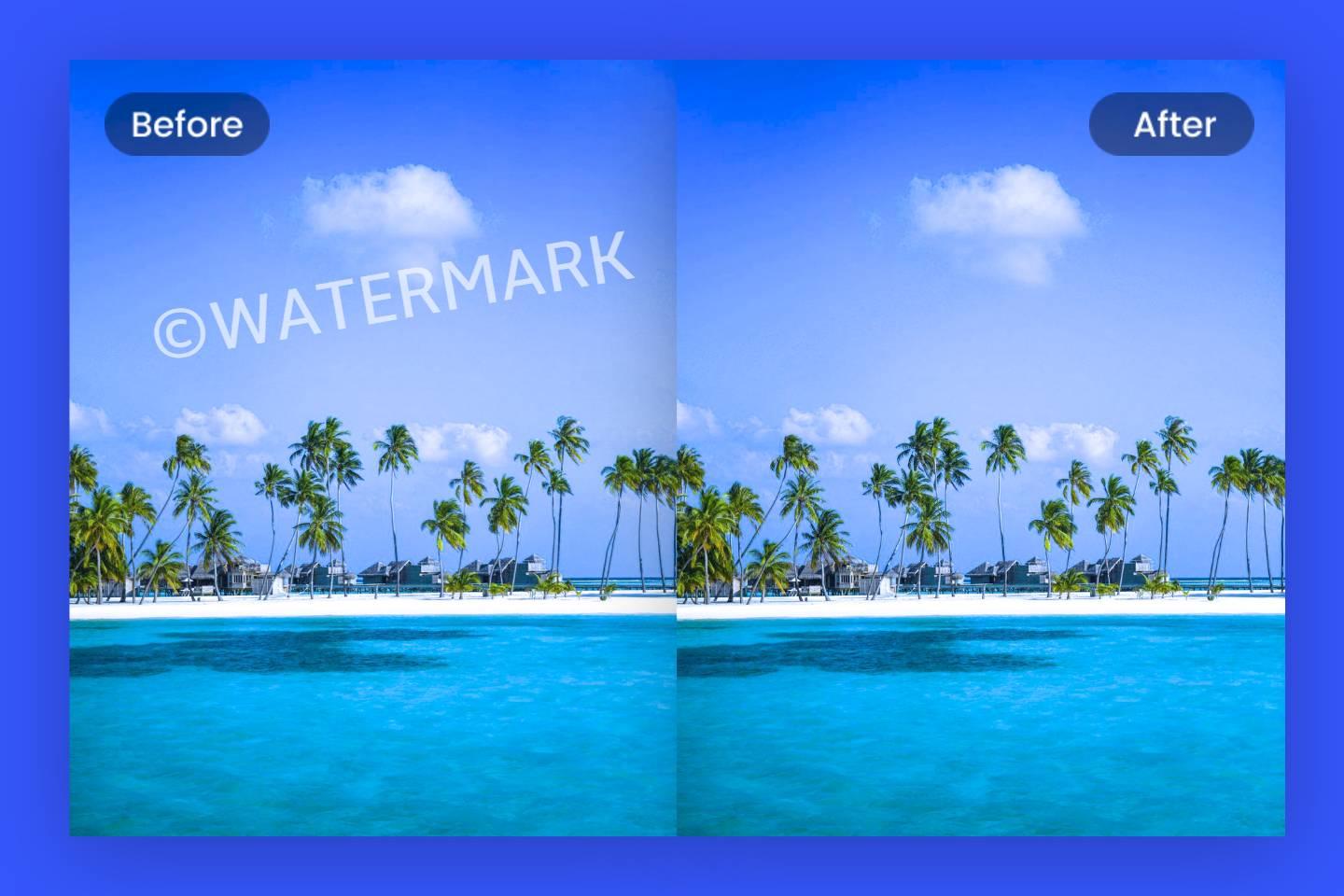 Delete Watermark Certificate Features By Means Of An API