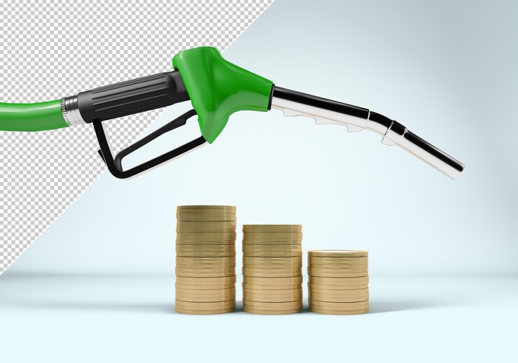 See The Impact Of Fuel Prices In India On The Economy With This API