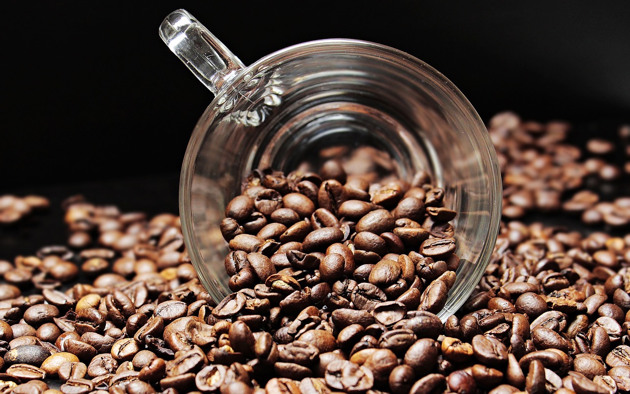 Empower Your Trading Platform: Arabica Coffee Sep 2024